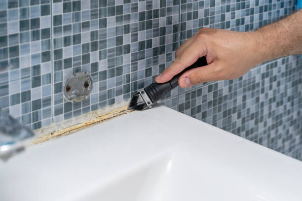 Best Emergency Mold Remediation in Cayce, SC
