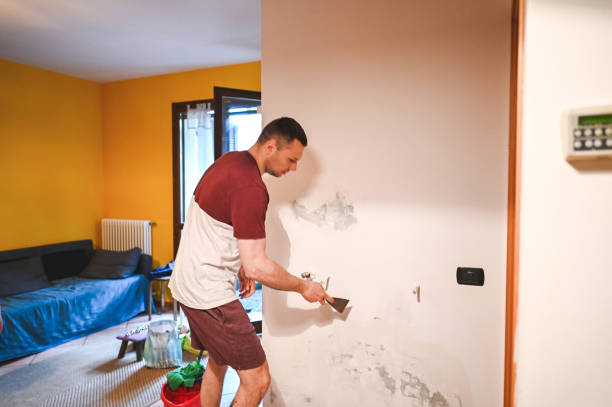 Professional Mold Remediation in Cayce, SC